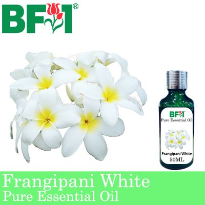 Pure Essential Oil (EO) - Frangipani White Essential Oil - 50ml