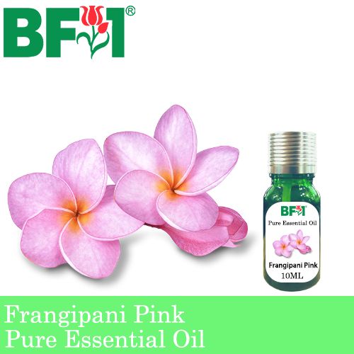 Pure Essential Oil (EO) - Frangipani Pink Essential Oil - 10ml