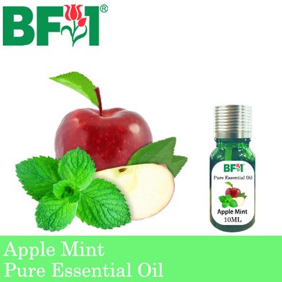 Pure Essential Oil (EO) - Mint - Apple Mint ( Mentha Suaveolens ) Essential Oil - 10ml