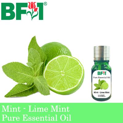 Pure Essential Oil (EO) - Mint - Lime Mint Essential Oil - 10ml
