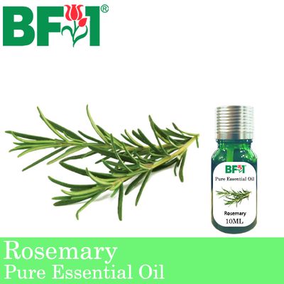Pure Essential Oil (EO) - Rosemary Essential Oil - 10ml