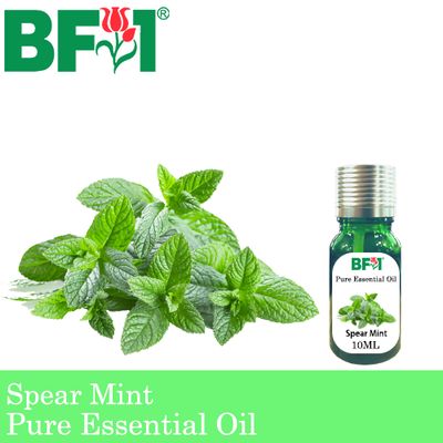 Pure Essential Oil (EO) - Mint - Spear Mint Essential Oil - 10ml