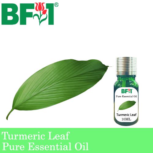Pure Essential Oil (EO) - Turmeric Leaf Essential Oil - 10ml