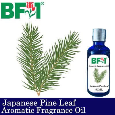 Aromatic Fragrance Oil (AFO) - Japanese Pine Leaf - 50ml
