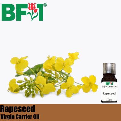 VCO - Rapeseed Virgin Carrier Oil - 10ml