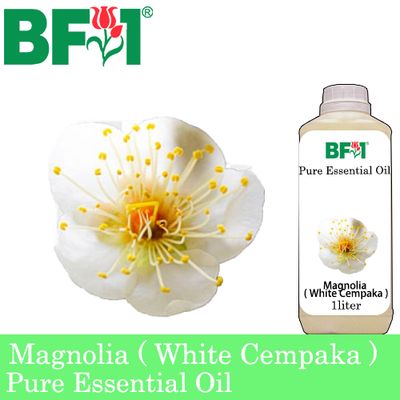 Pure Essential Oil (EO) - Magnolia ( White Cempaka ) Essential Oil - 1L Pure Essential Oil (EO) - Magnolia ( White Cempaka ) Essential Oil - 1L
