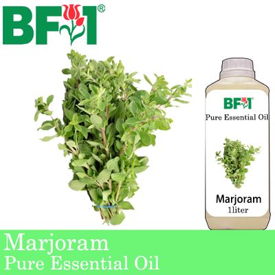 Pure Essential Oil (EO) - Marjoram Essential Oil - 1L