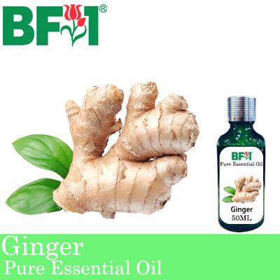 Pure Essential Oil (EO) - Ginger Essential Oil - 50ml
