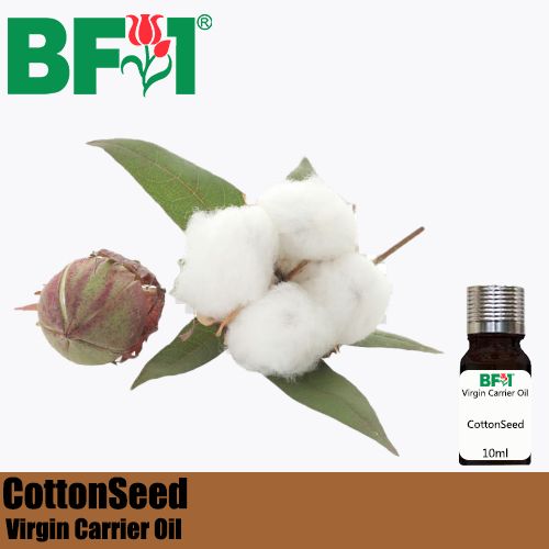 VCO - CottonSeed Virgin Carrier Oil - 10ml