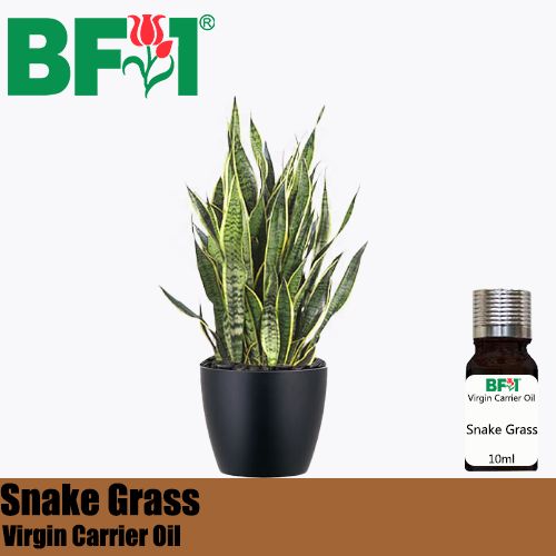 VCO - Snake Grass Virgin Carrier Oil - 10ml