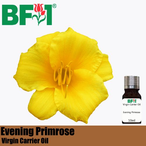 VCO - Evening Primrose Virgin Carrier Oil - 10ml