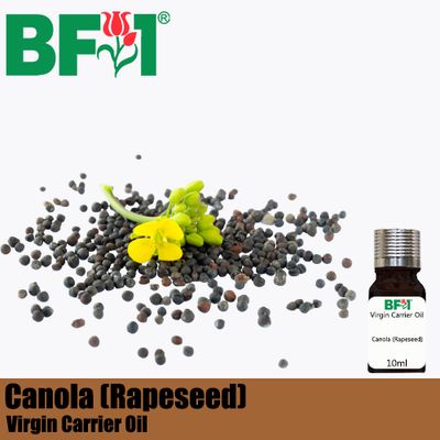 VCO - Canola (Rapeseed) Virgin Carrier Oil - 10ml