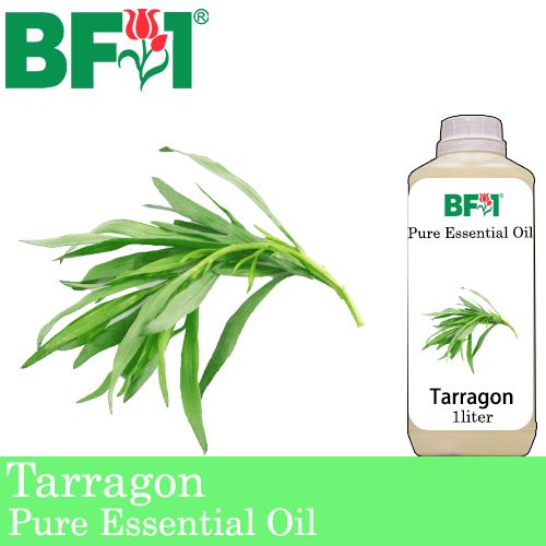 Pure Essential Oil (EO) - Tarragon Essential Oil - 1L