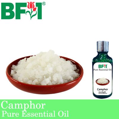 Pure Essential Oil (EO) - Camphor Essential Oil - 50ml