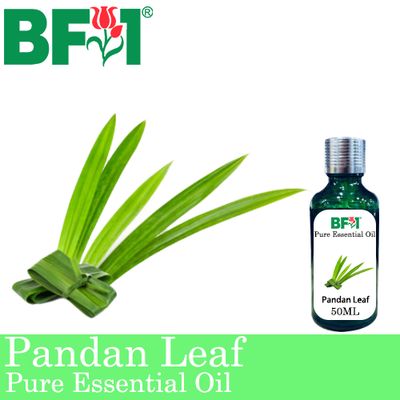 Pure Essential Oil (EO) - Pandan Leaf Essential Oil - 50ml