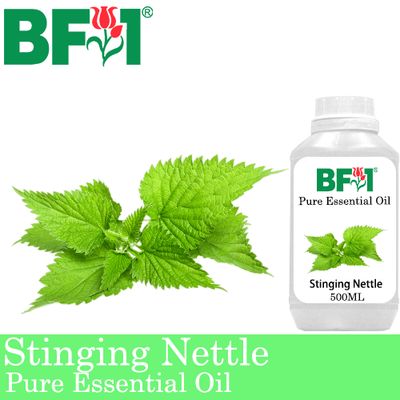 Pure Essential Oil (EO) - Stinging Nettle Essential Oil - 500ml