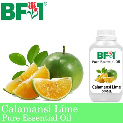Pure Essential Oil (EO) - Lime - Calamansi Lime Essential Oil - 500ml
