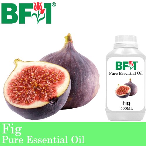 Pure Essential Oil (EO) - Fig Essential Oil - 500ml Pure Essential Oil (EO) - Fig Essential Oil - 500ml