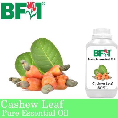 Pure Essential Oil (EO) - Cashew Leaf ( Anacardium Occidentale ) Essential Oil - 500ml