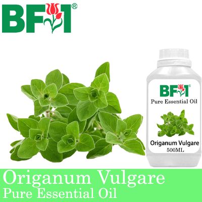 Pure Essential Oil (EO) - Oregano ( Origanum Vulgare ) Essential Oil - 500ml