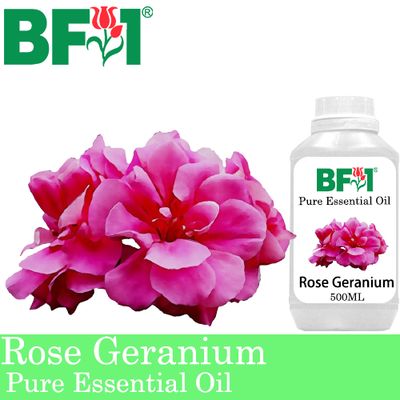 Pure Essential Oil (EO) - Geranium - Rose Geranium Essential Oil - 500ml