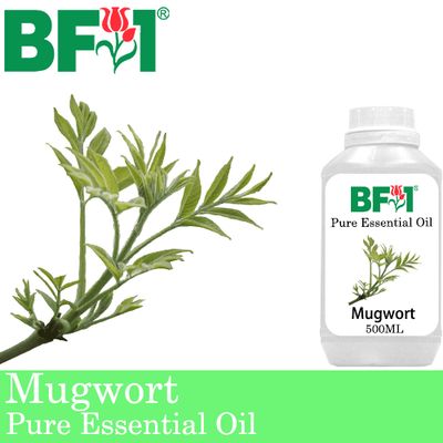 Pure Essential Oil (EO) - Mugwort Essential Oil - 500ml