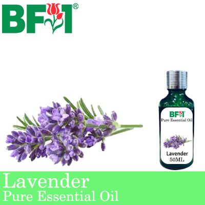 Pure Essential Oil (EO) - Lavender Essential Oil - 50ml