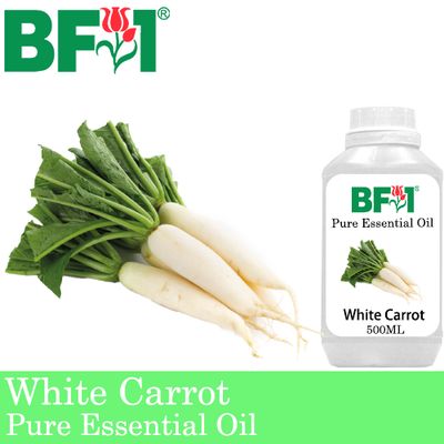 Pure Essential Oil (EO) - White Carrot Essential Oil - 500ml