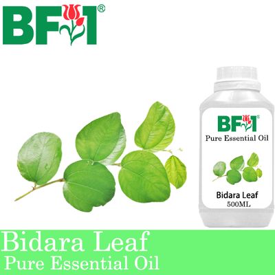 Pure Essential Oil (EO) - Bidara Leaf (Zizyphus Mauritiana ) Essential Oil - 500ml