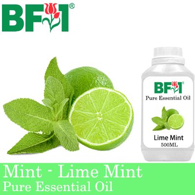 Pure Essential Oil (EO) - Mint - Lime Mint Essential Oil - 500ml