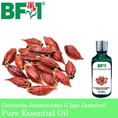 Pure Essential Oil (EO) - Gardenia Jasminoides (Cape Jasmine) Essential Oil - 500ml