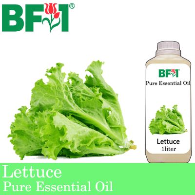 Pure Essential Oil (EO) - Lettuce Essential Oil - 1L