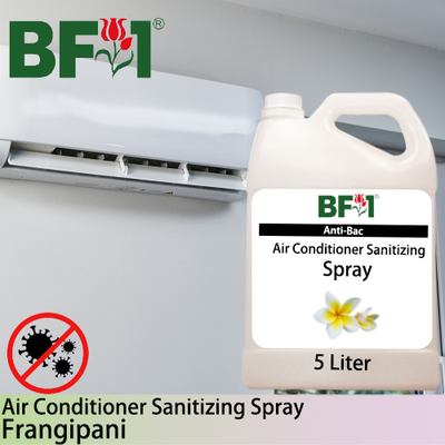 Anti-Bac Air Conditioner Sanitizing Spray Non Alcohol (ABACS) - Frangipani - 5L