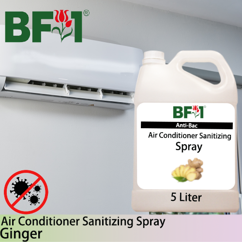 Anti-Bac Air Conditioner Sanitizing Spray Non Alcohol (ABACS) - Ginger - 5L Anti-Bac Air Conditioner Sanitizing Spray Non Alcohol (ABACS) - Ginger - 5L