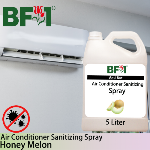 Anti-Bac Air Conditioner Sanitizing Spray Non Alcohol (ABACS) - Honey Melon - 5L Anti-Bac Air Conditioner Sanitizing Spray Non Alcohol (ABACS) - Honey Melon - 5L