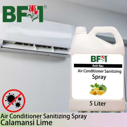 Anti-Bac Air Conditioner Sanitizing Spray Non Alcohol (ABACS) - lime - Calamansi Lime - 5L Anti-Bac Air Conditioner Sanitizing Spray Non Alcohol (ABACS) - lime - Calamansi Lime - 5L