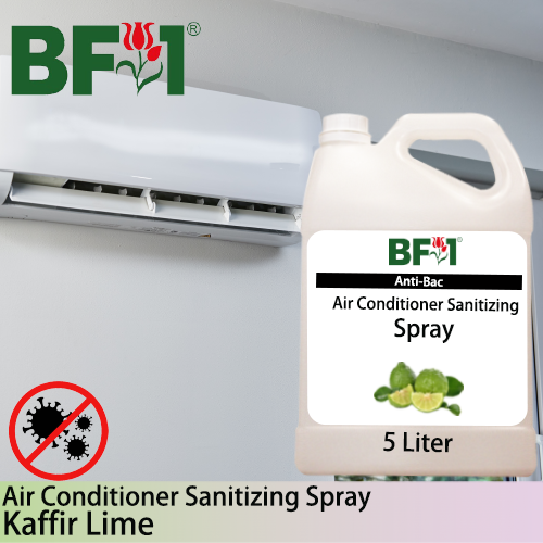 Anti-Bac Air Conditioner Sanitizing Spray Non Alcohol (ABACS) - lime - Kaffir Lime - 5L Anti-Bac Air Conditioner Sanitizing Spray Non Alcohol (ABACS) - lime - Kaffir Lime - 5L