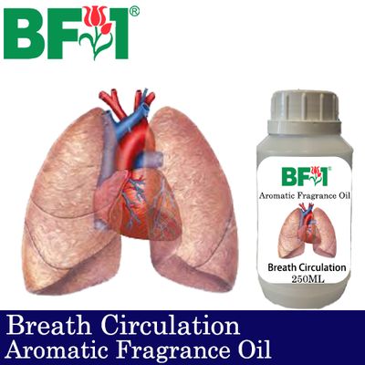 Aromatic Fragrance Oil (AFO) - Breath Circulation - 250ml