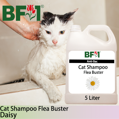 Cat Shampoo Flea Buster (CSO-Cat) - Daisy - 5L ⭐⭐⭐⭐⭐ Cat Shampoo Flea Buster (CSO-Cat) - Daisy - 5L ⭐⭐⭐⭐⭐