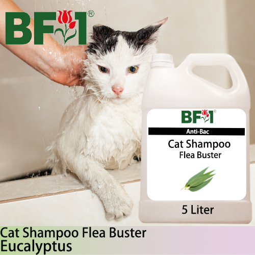 Cat Shampoo Flea Buster (CSO-Cat) - Eucalyptus - 5L ⭐⭐⭐⭐⭐ Cat Shampoo Flea Buster (CSO-Cat) - Eucalyptus - 5L ⭐⭐⭐⭐⭐