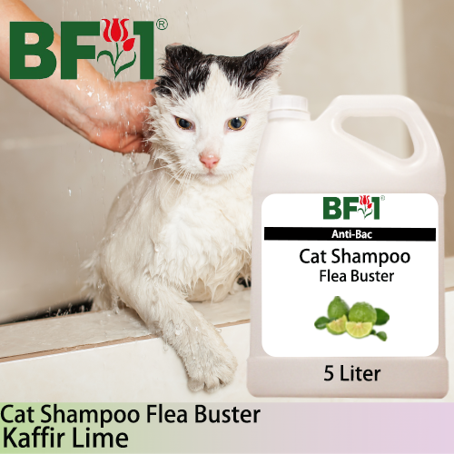 Cat Shampoo Flea Buster (CSO-Cat) - lime - Kaffir Lime - 5L ⭐⭐⭐⭐⭐ Cat Shampoo Flea Buster (CSO-Cat) - lime - Kaffir Lime - 5L ⭐⭐⭐⭐⭐