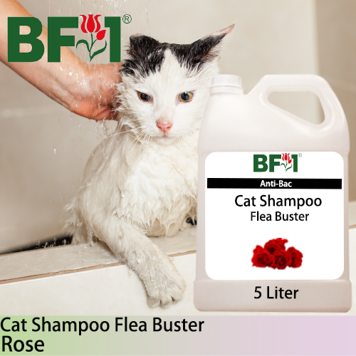 Cat Shampoo Flea Buster (CSO-Cat) - Rose - 5L ⭐⭐⭐⭐⭐ Cat Shampoo Flea Buster (CSO-Cat) - Rose - 5L ⭐⭐⭐⭐⭐