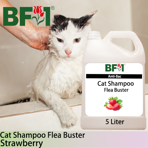 Cat Shampoo Flea Buster (CSO-Cat) - Strawberry - 5L ⭐⭐⭐⭐⭐ Cat Shampoo Flea Buster (CSO-Cat) - Strawberry - 5L ⭐⭐⭐⭐⭐