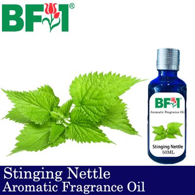 Aromatic Fragrance Oil (AFO) - Stinging Nettle - 50ml