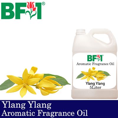 Aromatic Fragrance Oil (AFO) - Ylang Ylang - 5L