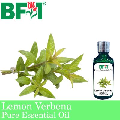 Pure Essential Oil (EO) - Lemon Verbena Essential Oil - 50ml