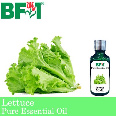 Pure Essential Oil (EO) - Lettuce Essential Oil - 50ml