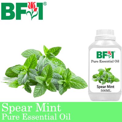 Pure Essential Oil (EO) - Mint - Spear Mint Essential Oil - 500ml