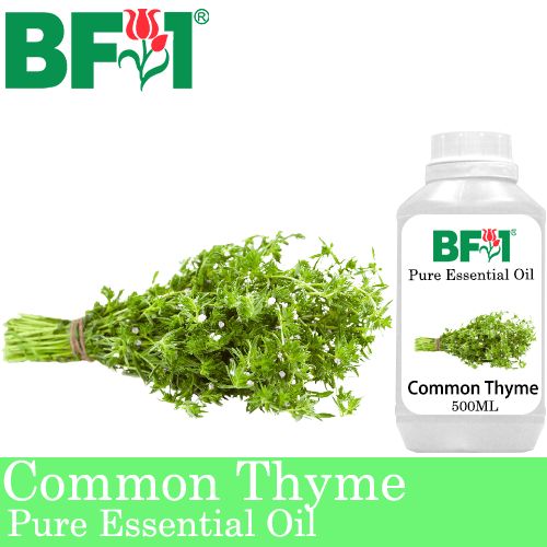 Pure Essential Oil (EO) - Thyme ( Common Thyme ) Essential Oil - 500ml Pure Essential Oil (EO) - Thyme ( Common Thyme ) Essential Oil - 500ml
