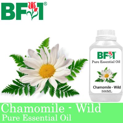 Pure Essential Oil (EO) - Chamomile - Wild Chamomile Essential Oil - 500ml
